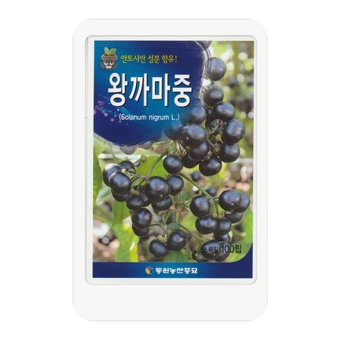 왕까마중씨 100립 왕까마중 씨앗 대장 동원종묘, 1개