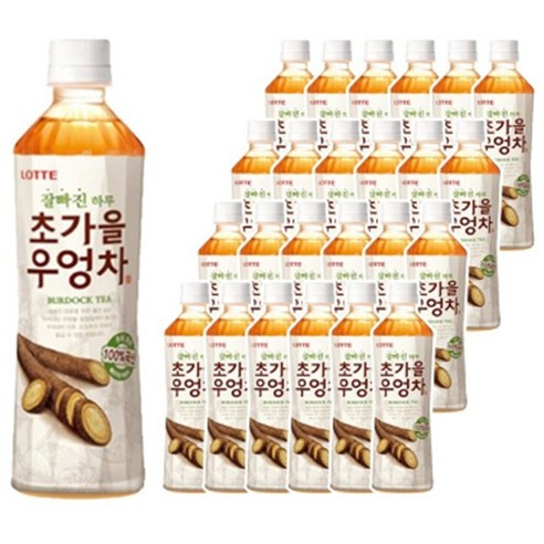 롯데칠성 초가을 우엉차 500ml x 24개입, 24개, 1박스