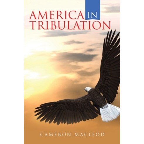 (영문도서) America in Tribulation Paperback, Liferich, English, 9781489745828