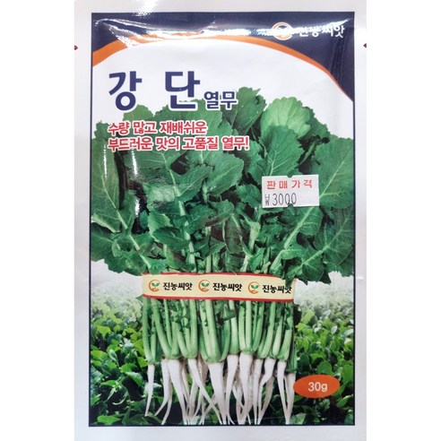 수량 많고 재배 쉬운 고품질 열무