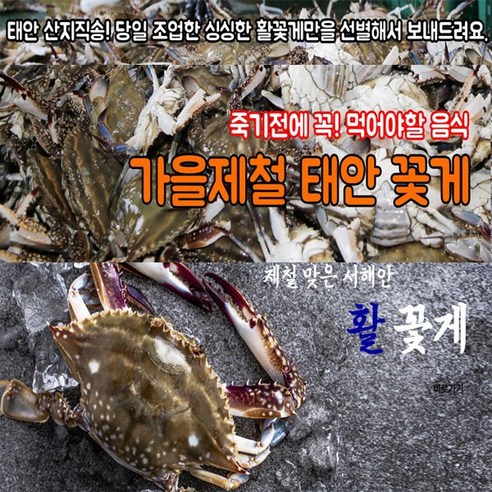 태안 신진도 톱밥 꽃게 키로당3~5미 내외 활꽃게, 1박스, 2kg