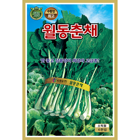 가을씨앗 모음 무 배추 시래기 양파 적갓 시금치 월동 황금 춘채, 07.알찬노랑배추, 1개