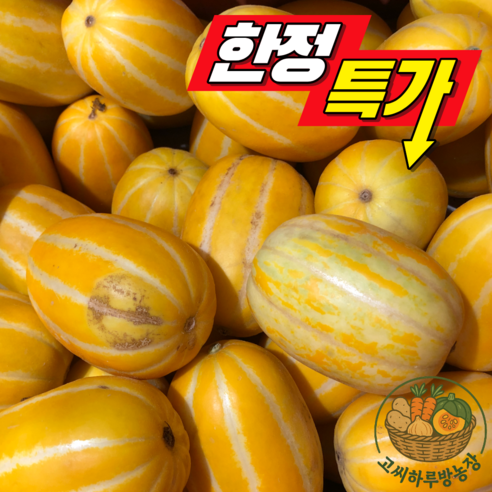 시즌특가 고당도 성주꿀참외 가정용 못난이