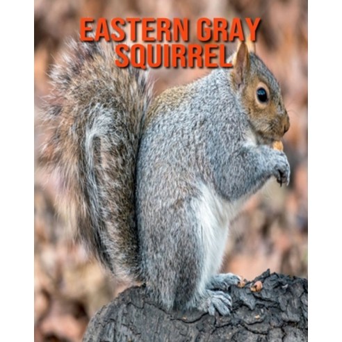 (영문도서) Eastern Gray Squirrel: Amazing Photos & Fun Facts Book About Eastern Gray Squirrel For Kids Paperback, Independently Published, English, 9798515340858