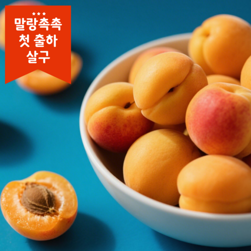 새벽의 싱그러움을 담은, 말랑촉촉 제철 살구 이야기 살구