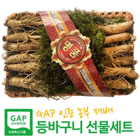 6-5년근 수삼 7호 (600g, 10-13뿌리) GAP 인증 농부 재배 인삼 선물세트 – 고급 케이스, 보자기 포함 3중 포장, 추석 명절 이바지용