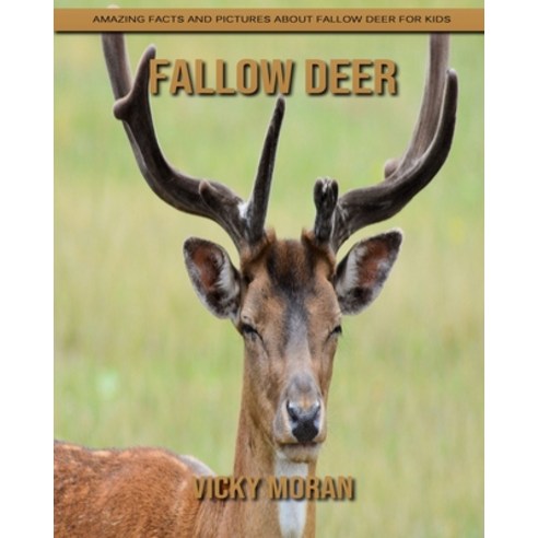 Fallow Deer: Amazing Facts and Pictures about Fallow Deer for Kids Paperback, Independently Published