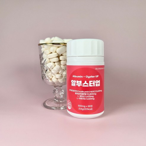 활력 넘치는 일상을 위한 선택, 알부스터업