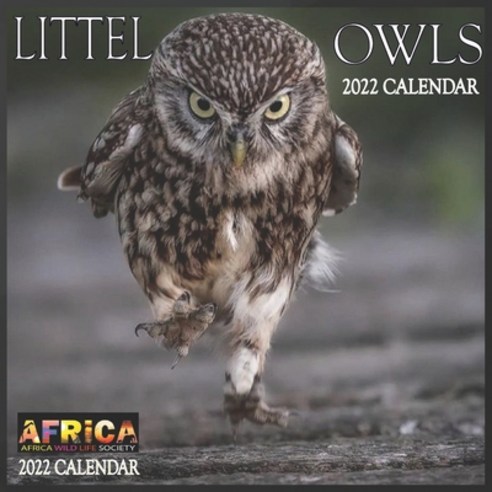 (영문도서) Little Owls CALENDAR 2022: 12 Month Mini Calendar from Jan 2022 to Dec 2022 Cute Gift Idea -... Paperback, Independently Published, English, 9798515027582