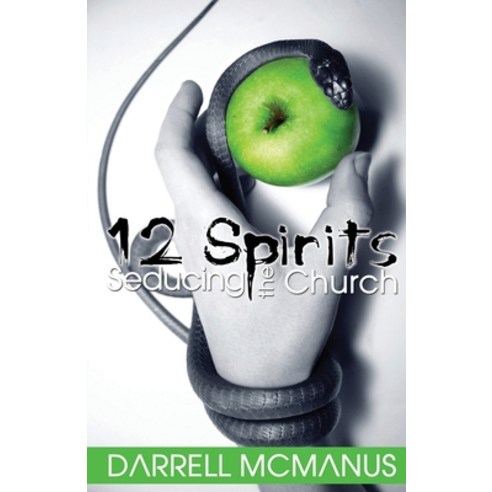(영문도서) 12 Spirits Seducing the Church Paperback, Revmedia, English, 9781734527360