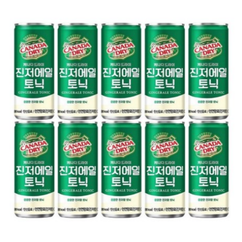 캐나다드라이 진저에일 250ml