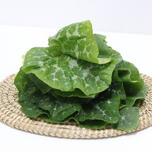산지직송 호박잎으로 맛있는 가을 쌈즐기기