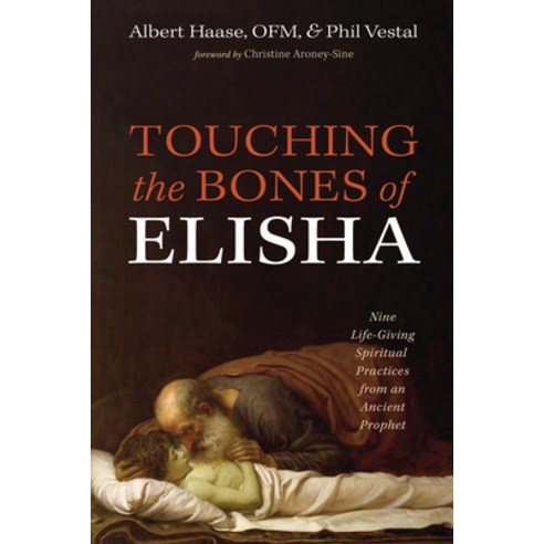 (영문도서) Touching the Bones of Elisha: Nine Life-Giving Spiritual Practices from an Ancient Prophet Paperback, Cascade Books, English, 9781666760736