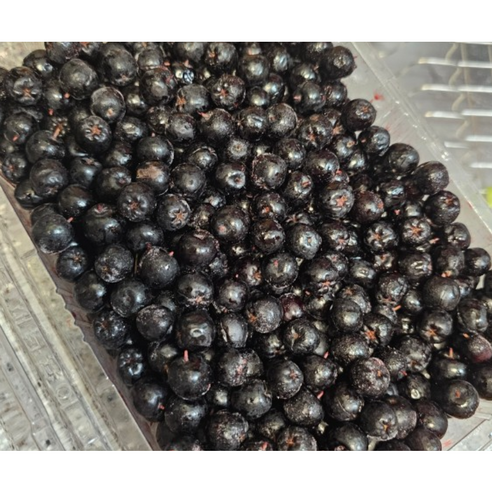 [국산/국내산] [2023년산] 냉동 햇아로니아 2kg(400g*5) 줄기제거 아로니아 아로니아2kg 킹스베리 안토시아닌, 1개, 2kg