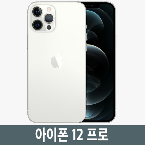 아이폰12프로 iPhone12 Pro 자급제, 256GB, 실버