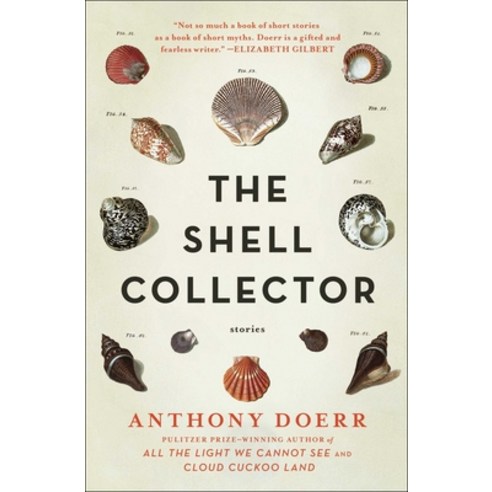 (영문도서) The Shell Collector: Stories Paperback, Scribner Book Company, English, 9781439190050
