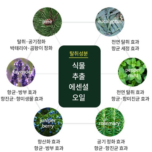 귀찮은 발 냄새 문제를 해결하는 완벽한 솔루션