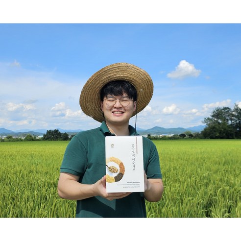 발아오색 미숫가루 무설탕 곡물선식 - 미실란 통곡물 개별포장 540g, 30포, 1박스, 540g
