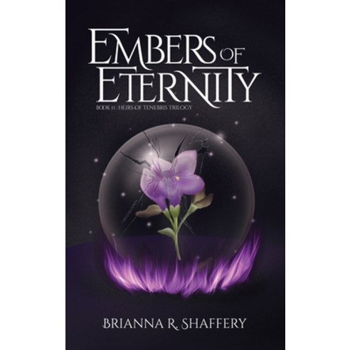 (영문도서) Embers of Eternity Hardcover, Brs Writes L.L.C., English, 9798986173238