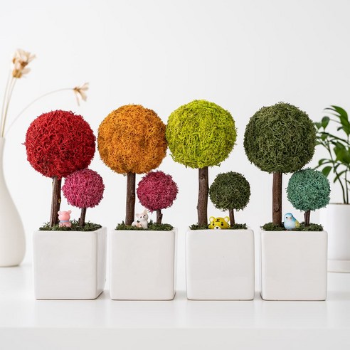 집안에 생동감을 불어넣는 스칸디아모스 엄마아기모스화분