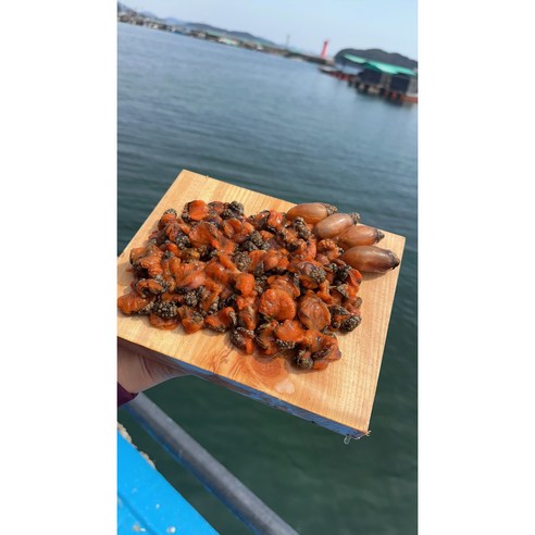 봄 바다를 담은 향긋한 미더덕, 밥상에 활력을 더하다.