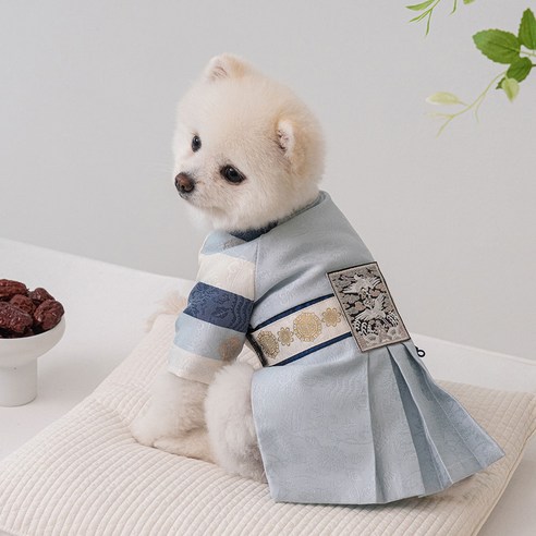 우리 댕댕이, 베일리 한복 입고 설날 주인공 되자!