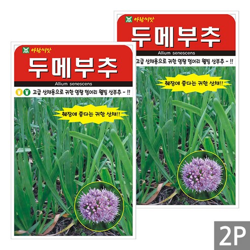 세인화분 두메부추 100립 - 국산 산부추 부추 씨 씨앗, 2개