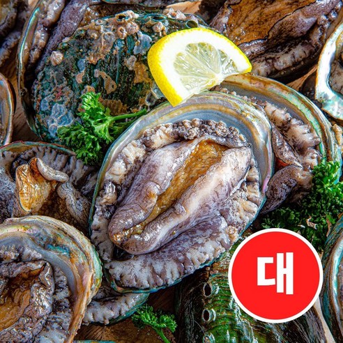 완도 특산물 활전복 1kg 대-특대사이즈 (6 - 14미) 크기선택, 활전복 1kg(6-7미내외)