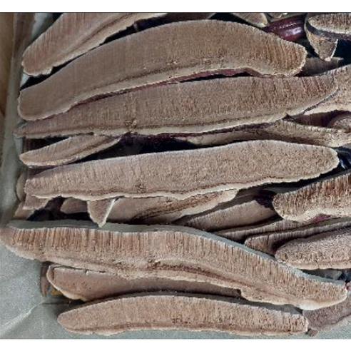 국산 명품 말린 영지버섯 절편 100g 지퍼백포장 자연산 영지 버섯 절 슬라이스, 1개