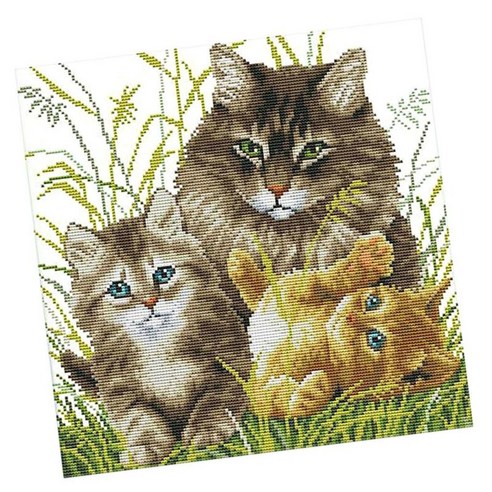 십자수 키트 자수 그림 고양이 패턴 자수 차트, 11CT 43x43cm, 코튼, 다색