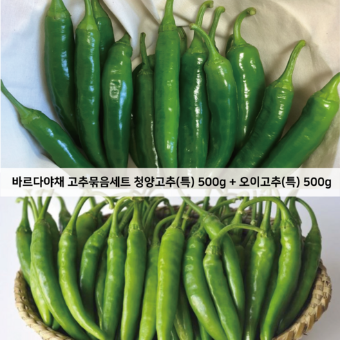 바르다야채 청양고추 500g + 오이고추 묶음판매 (특), 1세트, 1kg(500g+500g)