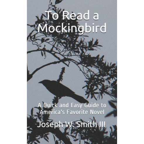 To Read a Mockingbird: A Quick and Easy Guide to America''s Favorite Novel Paperback, Independently Published, English, 9798576473021