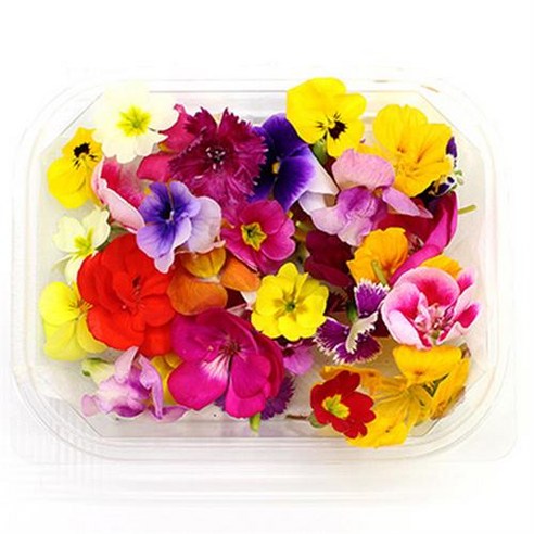 식용꽃: 시각적 아름다움과 건강상의 이점