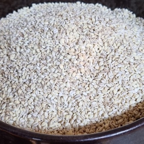 경제적인 가격으로 햇찰보리쌀을 만나보세요.