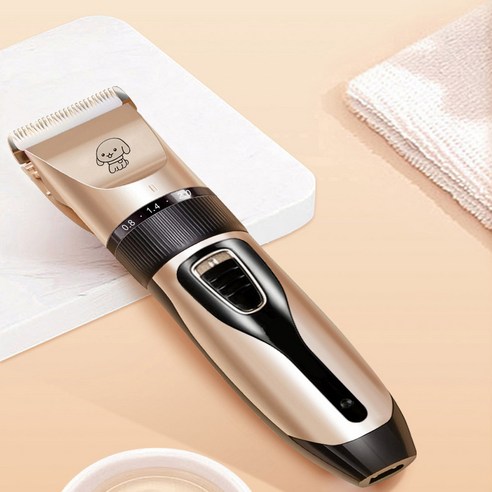 반려동물 미용의 새로운 기준