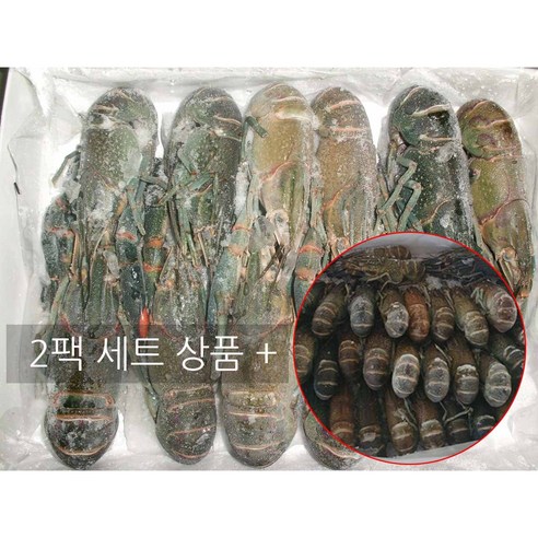 랩쿡 크레이피쉬 민물가재 2팩 13-15미 + 21-25미 + 소스 포함, 2box