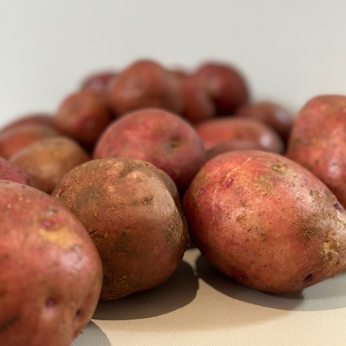 붉은 빛깔 속에 숨겨진 건강한 맛, 산들상회 햇 홍감자로 식탁을 풍요롭게