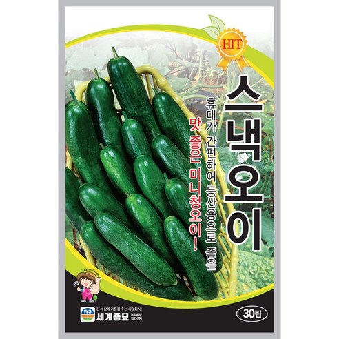 청스낵오이 30립/세계종묘 미니청오이씨앗, 1봉