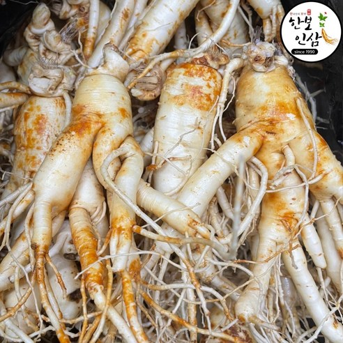 풍기인삼 6년근 4~7뿌리/한채 특대사이즈 한보인삼사 세척진공포장, 750g, 3세트 - 인삼/수삼/장뇌삼 | 쿠팡