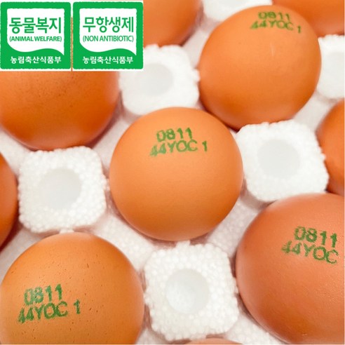 난각번호1번: 자연이 선사하는 신선하고 건강한 프리미엄 계란