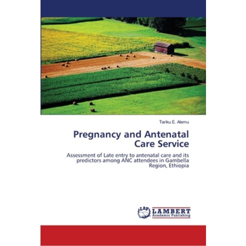 Pregnancy and Antenatal Care Service Paperback, LAP Lambert Academic Publis..., English, 9786139966998
