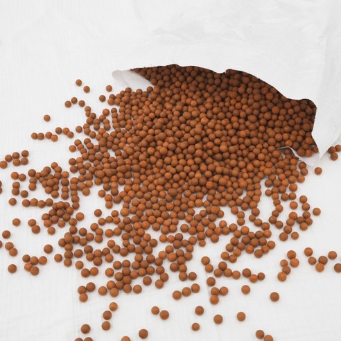 건강한 삶을 위한 최적의 운동 도구