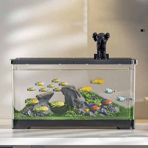 투명 아크릴 어항으로 집안에 힐링을 더하세요