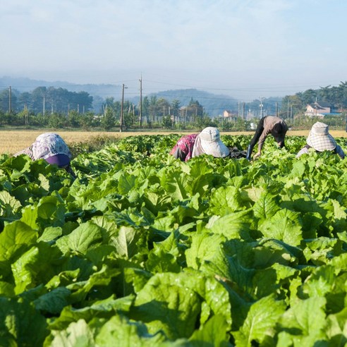 맛있고 건강한 추어탕의 진수