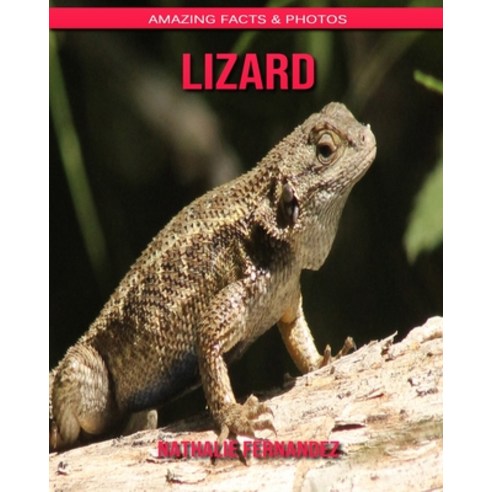 Lizard: Amazing Facts & Photos Paperback, Independently Published
