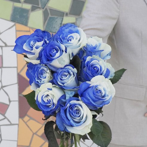 롤리팝 장미 생화택배: 사랑, 감사, 희망의 화려한 표현