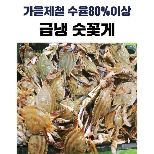 인천 옹진군 서해안 급냉 숫꽃게 국내산 5kg