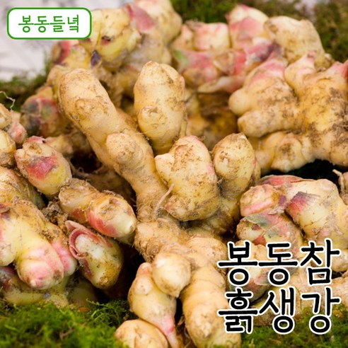 [봉동들녘]국내산 봉동참 흙생강 1kg, 1개