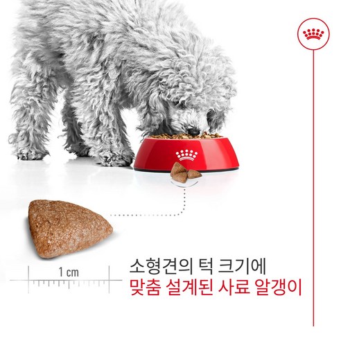 실내견 건강을 위한 완벽한 선택, 로얄캐닌 미니 인도어 어덜트