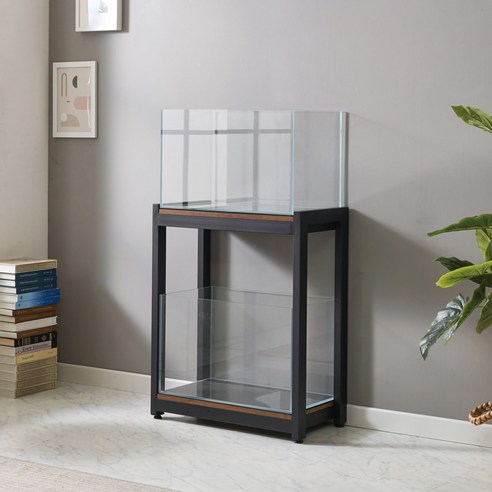 어항을 더욱 아름답게 만드는 선택